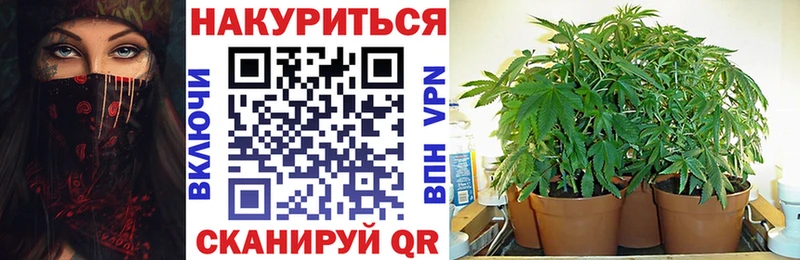 мориарти наркотические препараты  Новоульяновск  Канабис MAZAR 